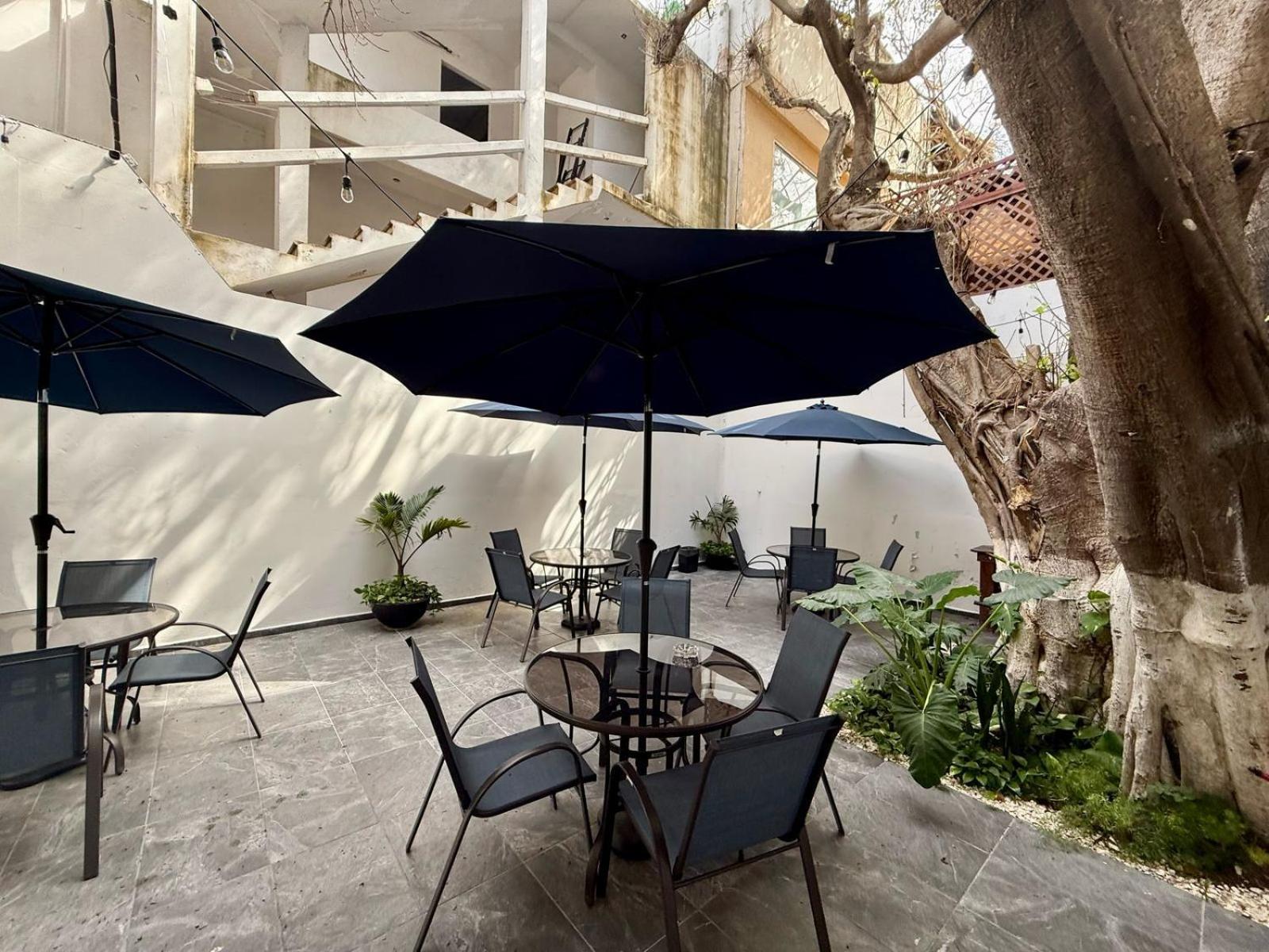 Отель Casa Tortuga 5Th Ave Плая-дель-Кармен Экстерьер фото
